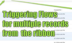 Featured image of post Patterns: Triggering a Flow from the Ribbon (multiple records)